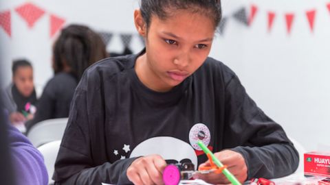 A MEDO prevê que 80% dos empregos serão STEM (Science Technology Engineering and Mathematics) até 2020, mas atualmente apenas 14% da força de trabalho STEM do mundo é composta por mulheres.