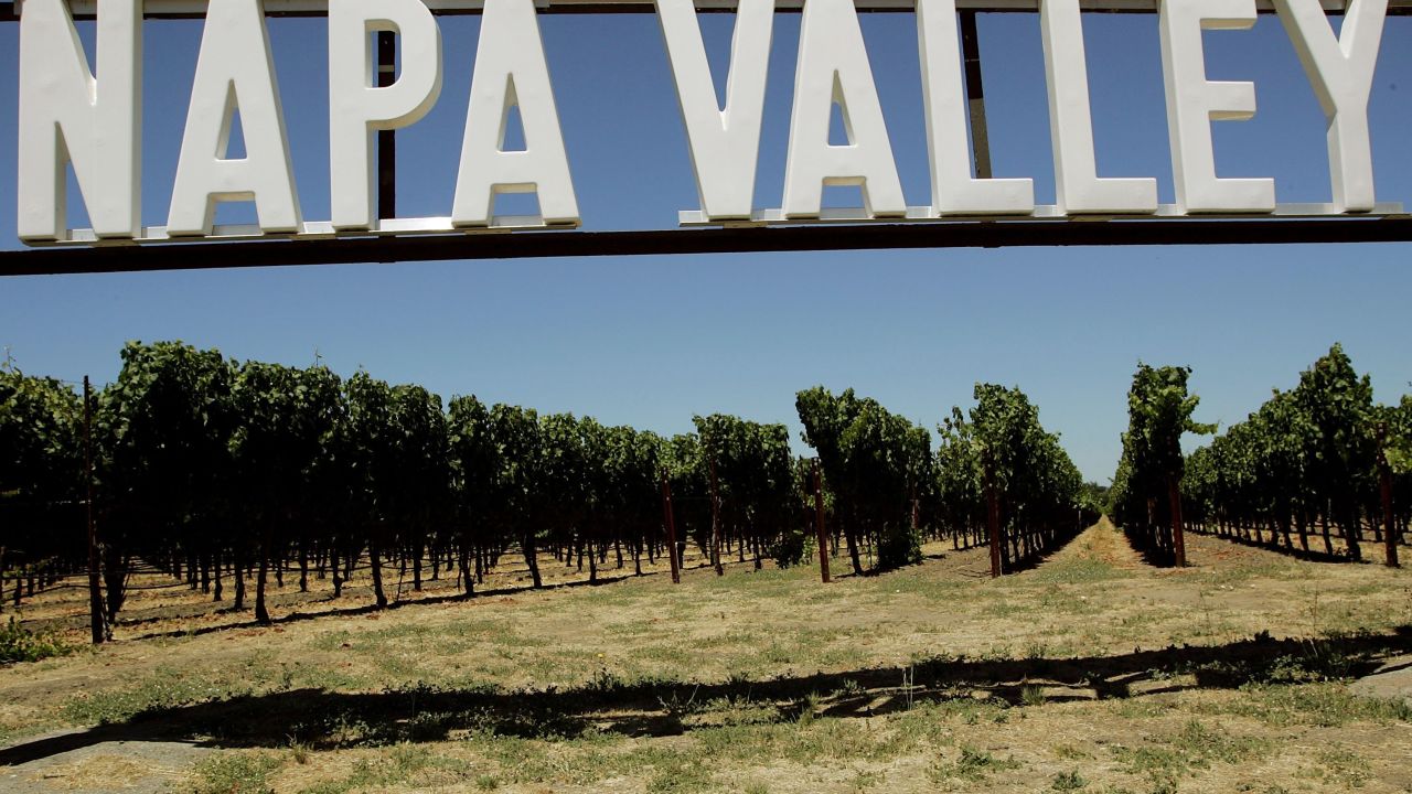RUTHERFORD, CA - JULY 12:  Rows of grape vines are seen at a winery July 12, 2006 in Rutherford, California. A study published in the Proceedings of the National Academy of Sciences, suggests that rising temperatures brought on by global warming could wipe out California's rich wine regions in Sonoma, Napa and Santa Barbara counties by the end of the century.  (Photo by Justin Sullivan/Getty Images)