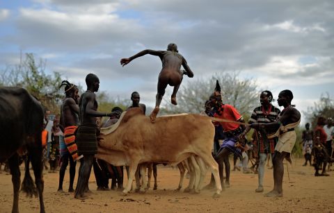 Herdsmen become hurdlers in the Omo Valley, Ethiopia. Young men of the Hamar tribe, one of many in the valley, prove their manhood by jumping on prize bulls and then running across their backs -- all while naked. The purpose? It's a coming of age ceremony, and only when the participant has traversed the bull run four times will he be allowed to marry. Slip and you risk a hard fall: "Because it's a manhood initiation ritual, [failure] is likely to affect the perception of someone's manhood and that of course can have all sorts of dire consequence," adds Dr Lewis.