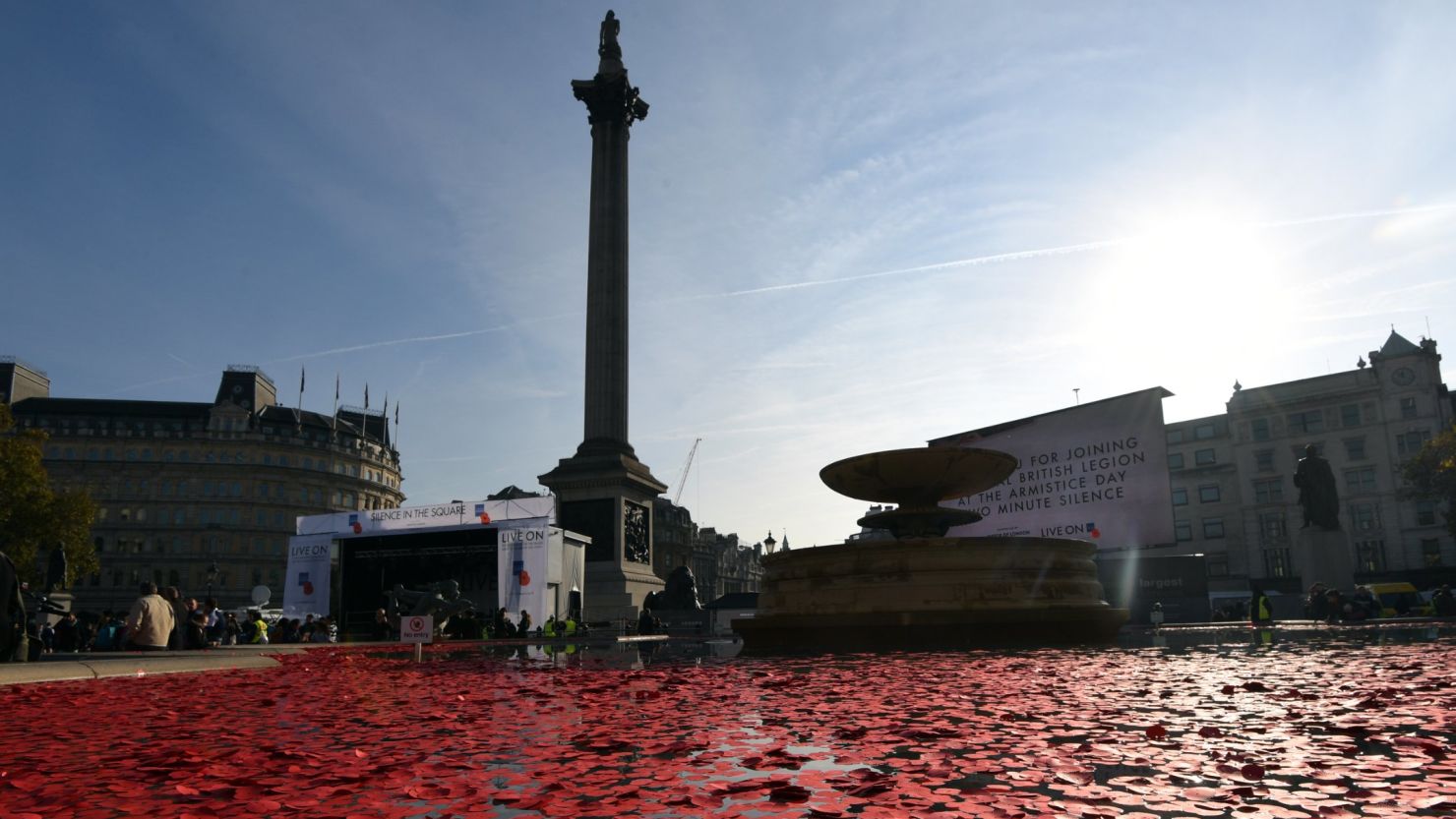 Poppies float in a fountain during the Armistice Day event in Trafalgar Square, London.