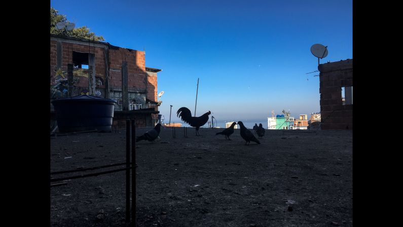 The pictures have a bit of everything, even humor. Magno Neves said he could not help snapping a photo of a rooster while portraying his home -- Cantagalo is Portuguese for "Rooster's Crow." 