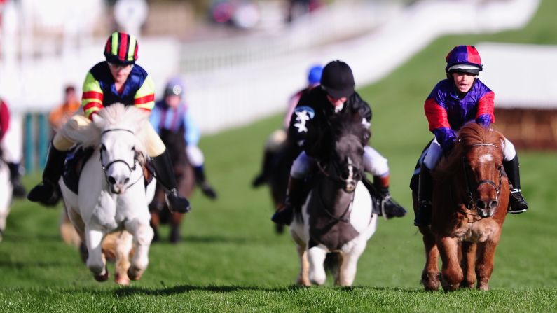 Shetland ponies race in Cheltenham, England, on Friday, November 11. Annabel Candy, left, rode Fordleigh Sophia to victory.