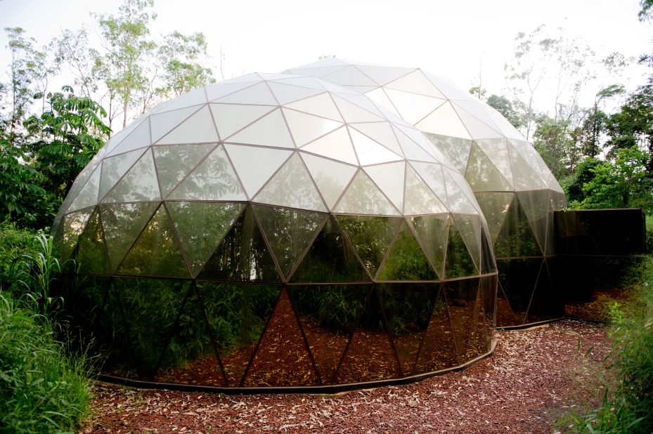 A glass and steel geodesic dome forms the exterior of Matthew Barney's "De Lama Lâmina," 2004 - 2009. A rusty tractor holding a whitewashed tree, roots and all, resides inside. 