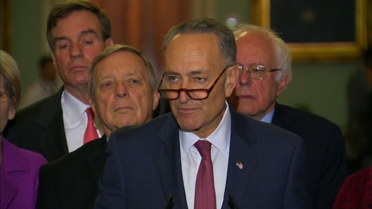 schumer elected senate minority leader