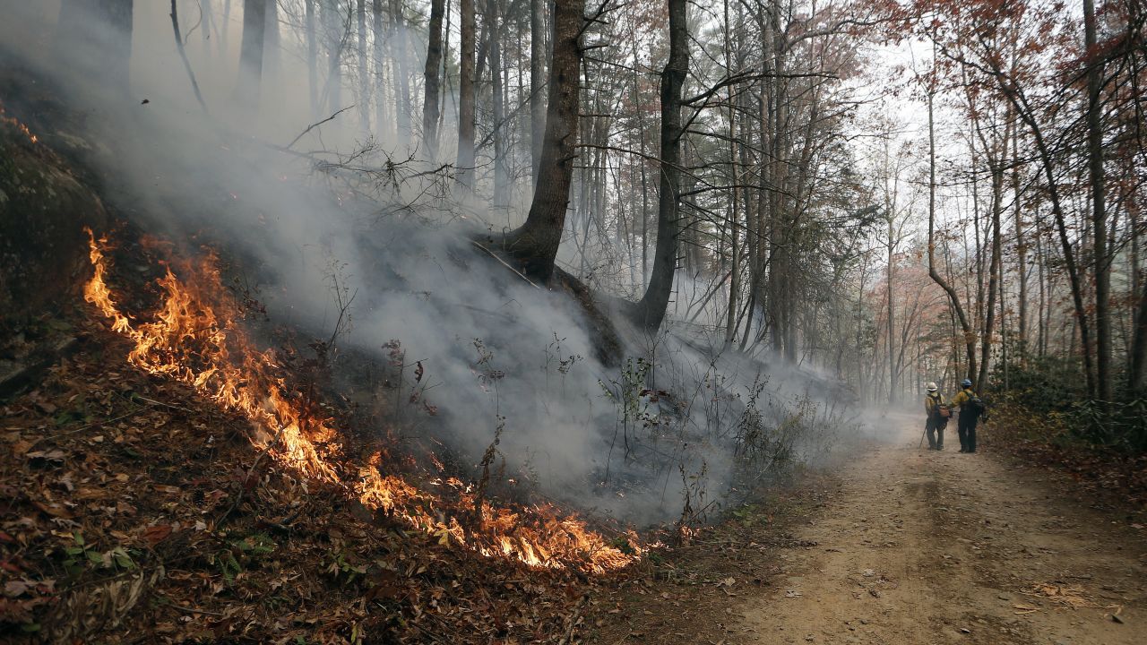 Firefighters walk down a dirt road as a wildfire burns a hillside in Clayton, Georgia, on Tuesday, November 15. 