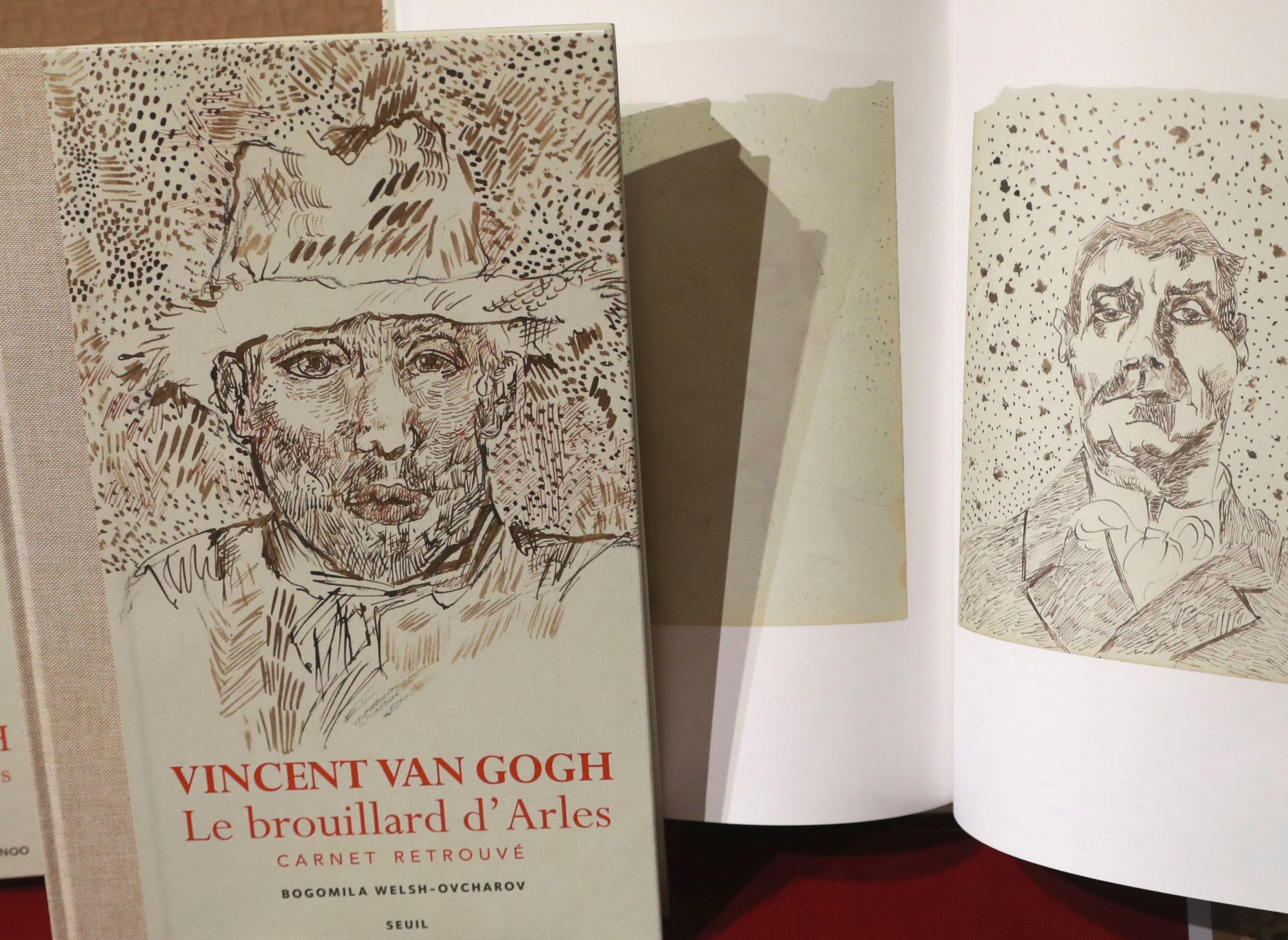 van gogh drawings controversial book