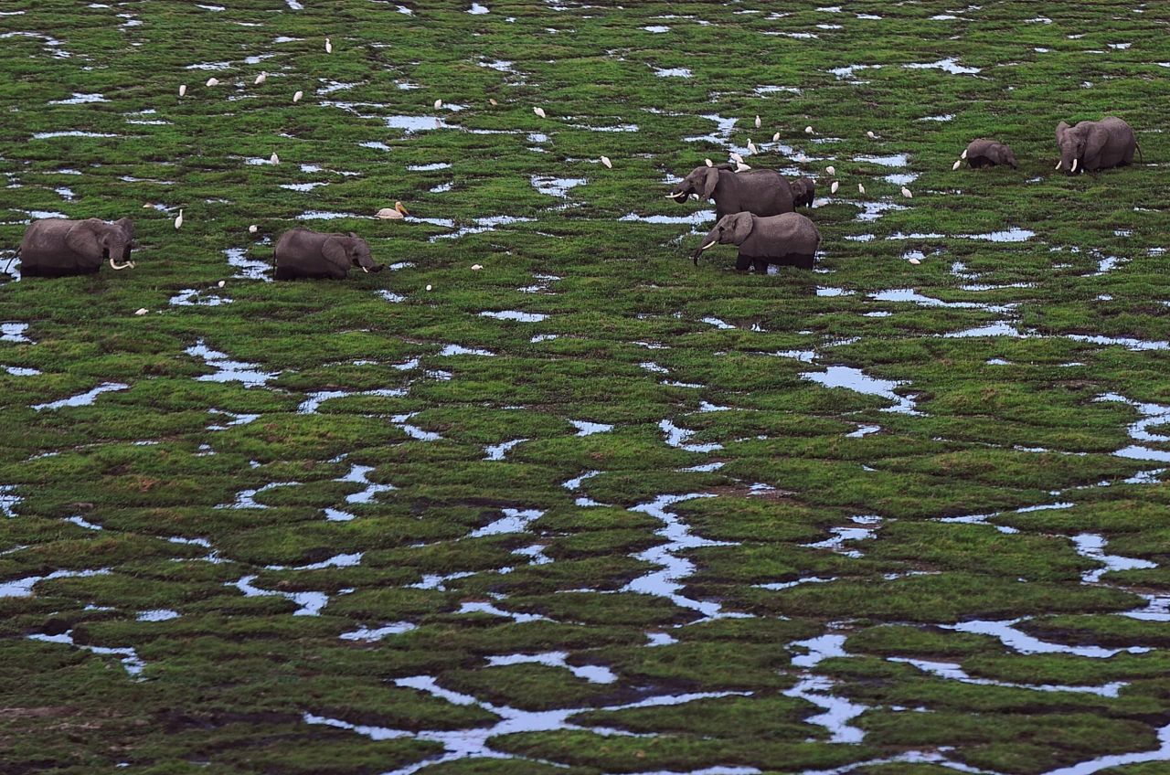 The projects are not without controversy. In Kenya for example, the railway cuts through nature reserve, <a href="https://www.theguardian.com/world/2015/jul/31/chinese-built-railway-line-cut-nairobi-national-park-kenya" target="_blank" target="_blank">causing a stir </a>among conservationists who say it will disturb wildlife. China has also been criticized for bringing their own workers, instead of employing locals.