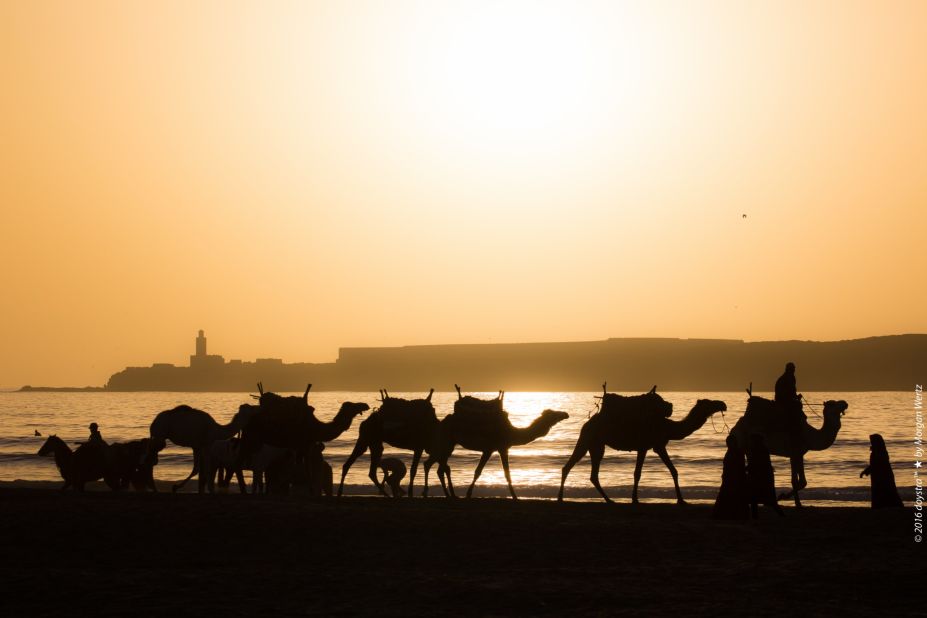 There's more than one way to reach Essaouira, however. Transfers from Marrakech are available, but other, more interesting options, can be pursued. <a href="https://www.ranchdediabat.com/en/activities/the-trail-rides/the-berberride/" target="_blank" target="_blank">Racha De Diabat</a> run trail rides on camels and horseback, with one eight day excursion starting in Agadir, 107 miles south, and working your way through valleys and along beaches, camping with Berber communities along the way.