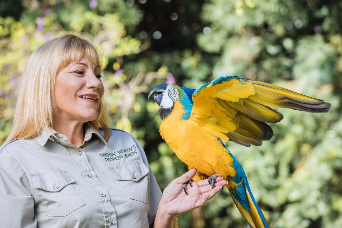 Skipper Blue, the Macaw, and his trainer Wendy Horton, USA, broke the records for the most rings placed on a target by a parrot in one minute.