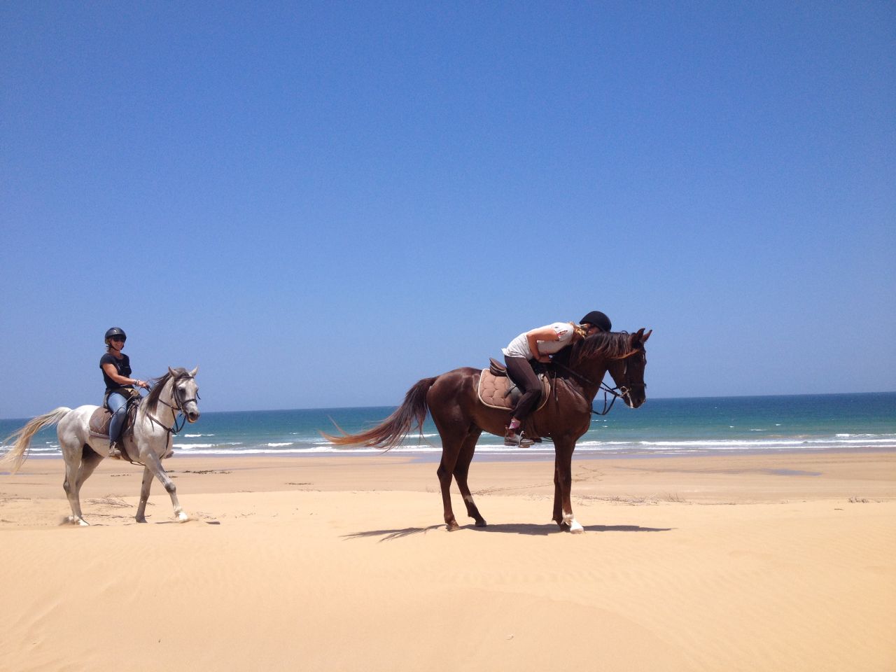 Requiring less commitment, there's plenty of options if you want to have a ride along Essaouira's main beach.