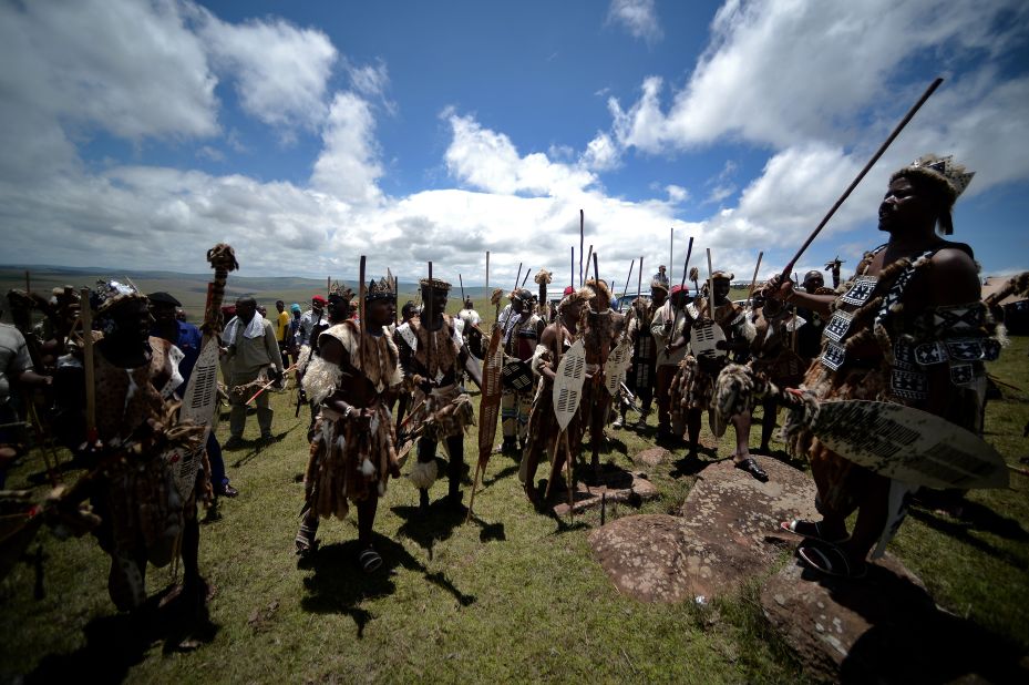 A feature of marital affairs for many Bantu-speaking tribes in South Africa, Zimbabwe and Swaziland, <em>lobola</em> is practiced by, among others,  Zulus (pictured). <em>Lobola</em> is also referred to as "bridalwealth", with the prospective groom's family negotiating with the bride's for her hand in marriage. The dowry comes in many forms, including money, but some choose cattle. There were <a href="http://articles.latimes.com/1998/jul/19/news/mn-5280" target="_blank" target="_blank">reports in 1998</a> that Nelson Mandela (of Thembu lineage) paid the marital <em>lobola</em> of 60 cows to the family of new wife Graca Machel.<br /><br />"It's the cause of much conflict," says Lewis, "because in order for a man to get married he must provide often quite a substantial head of cattle, and so he's in indentured labor to his father until the herd he's caring for is big enough." In societies that are cattle based, men tend to marry in their mid-forties, he adds, explaining that "there's always a backlog of women who are available but unable to marry" because men of a similar age have not yet raised the required bridalwealth. 