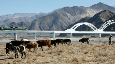 The Chinese-built Qinghai-Tibet railway spans 1,956km across high altitudes linking Xining in Qinghai Province to Lhasa.