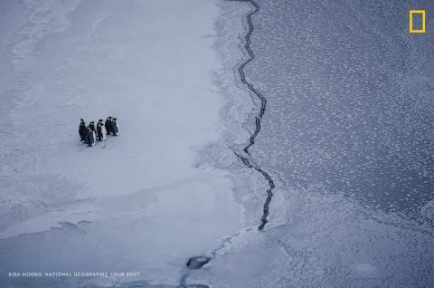 Photo: Kira Morris. A group of emperor penguins faces a crack in the sea ice, near McMurdo Station, Antarctica. <em>Via National Geographic Your Shot</em>