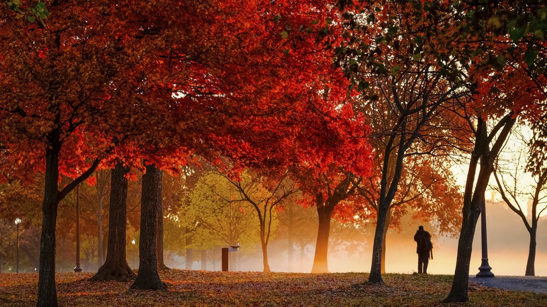 Fall guy. A photographer stops to capture the early morning ground fog on the National Mall in Washington.<br />