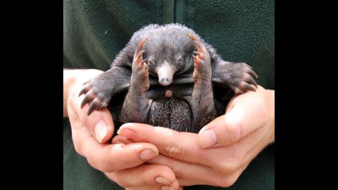 OMG look at it.
