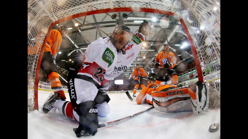 Kolner Haie's Max Reinhart celebrates a goal against Grizzlys Wolfsburg during a German league hockey game on Friday, November 18.