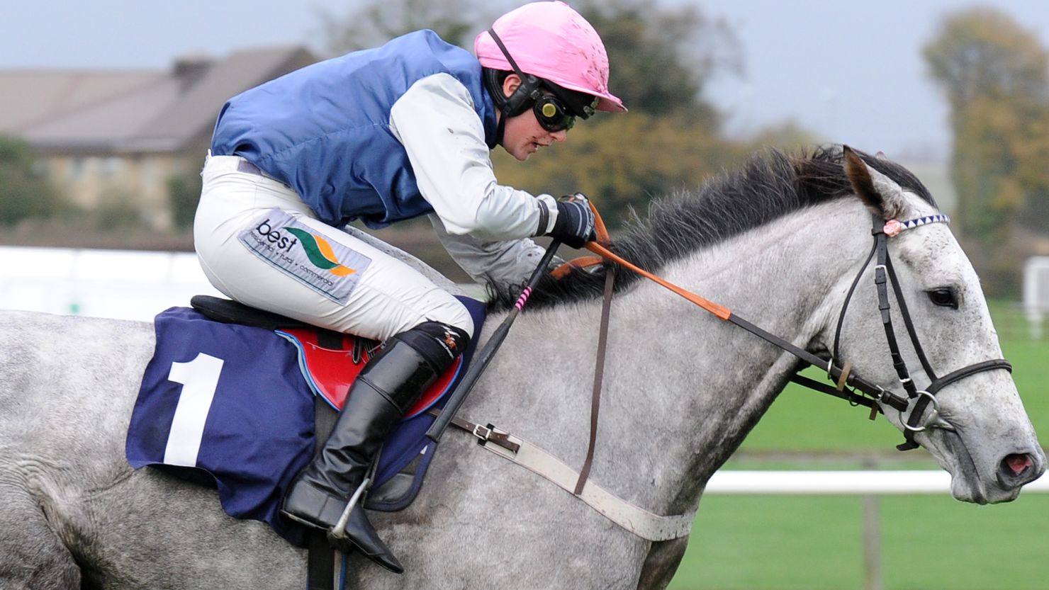 Male Jockey Male Jockey