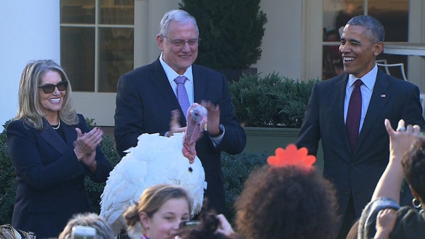 president obama pardons turkey thanksgiving bts_00022509.jpg