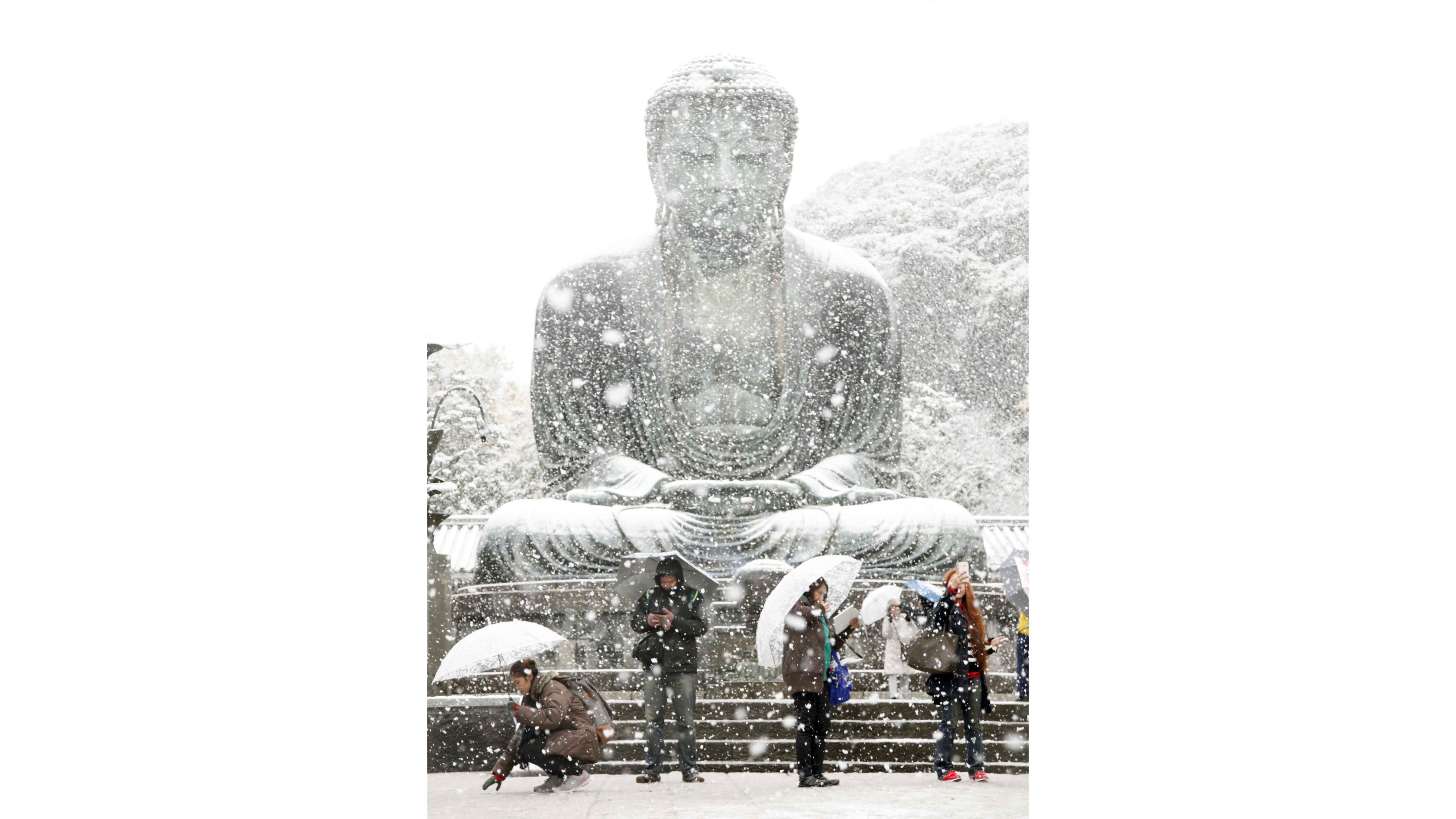 Snow Falls in Tokyo for the First Time in November Since 1962