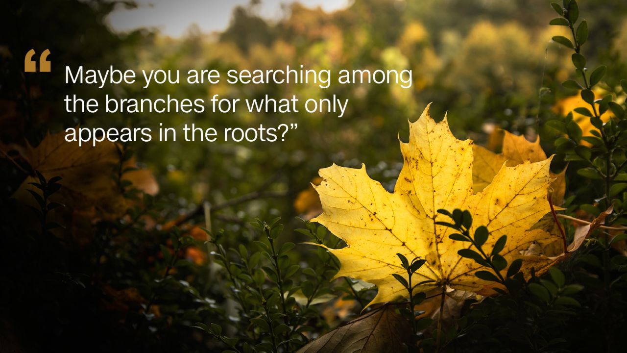 Rumi's best quotes | CNN