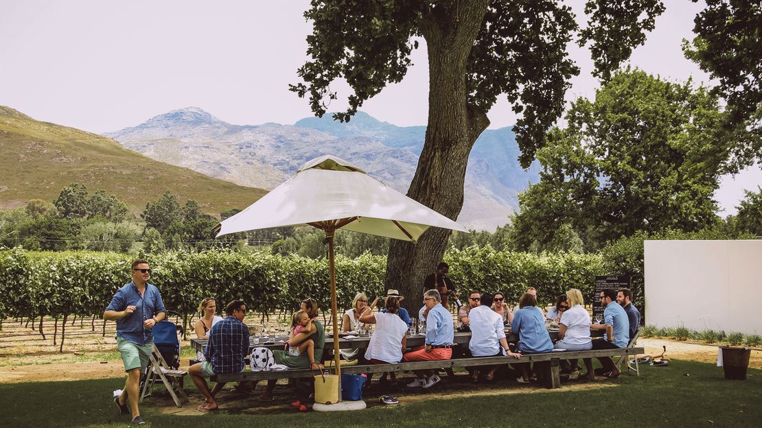 Franschhoek Valley houses some of South Africa's most famous wine estates.