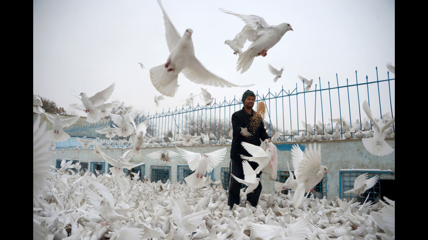A man feeds pigeons in the courtyard of the Blue Mosque in Mazar-i-Sharif, Afghanistan, on Thursday, November 24.
