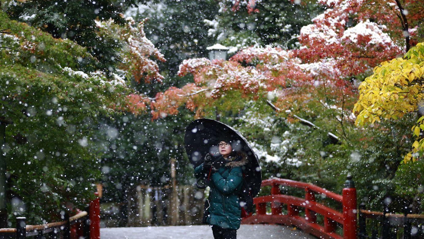 A person takes a photo in the snow at the Tsurugaoka Hachimangu Shrine in Kamakura, Japan, on Thursday, November 24. <a href="http://www.cnn.com/2016/11/17/world/gallery/week-in-photos-1118/index.html" target="_blank">See last week in 31 photos</a>