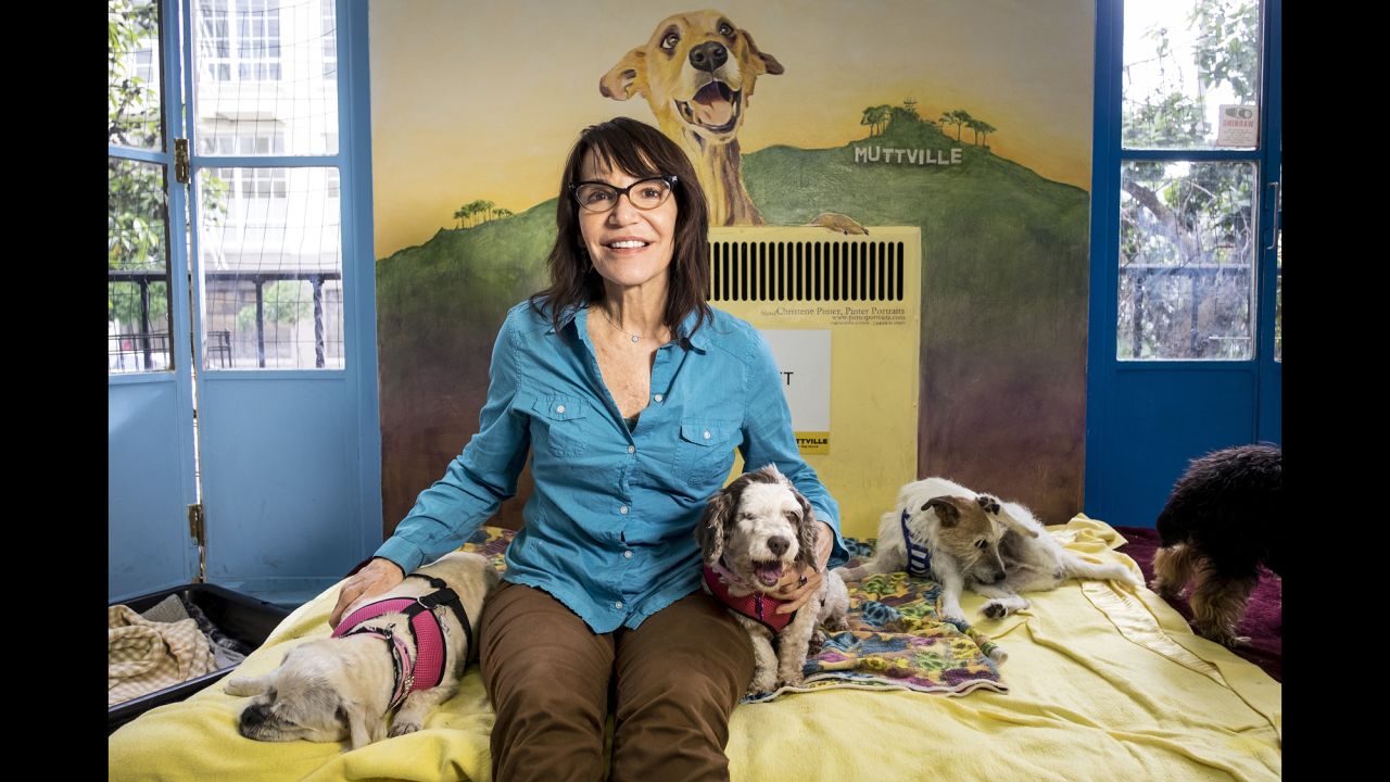 CNN Hero Sherri Franklin founded Muttville, a San Francisco-based nonprofit that finds loving homes for senior dogs.