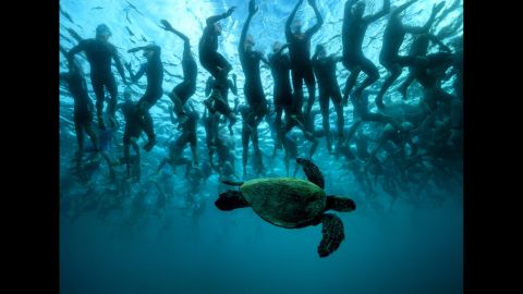 A sea turtle swims under Ironman triathletes in Kailua-Kona, Hawaii, on Saturday, October 8.