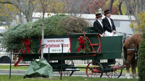 The official White House Christmas Tree is delivered to the White House in Washington, DC, on November 25, 2016.
The 19-foot (5.7-meter) Douglas Fir was donated by a tree farm in Pennsylvania.