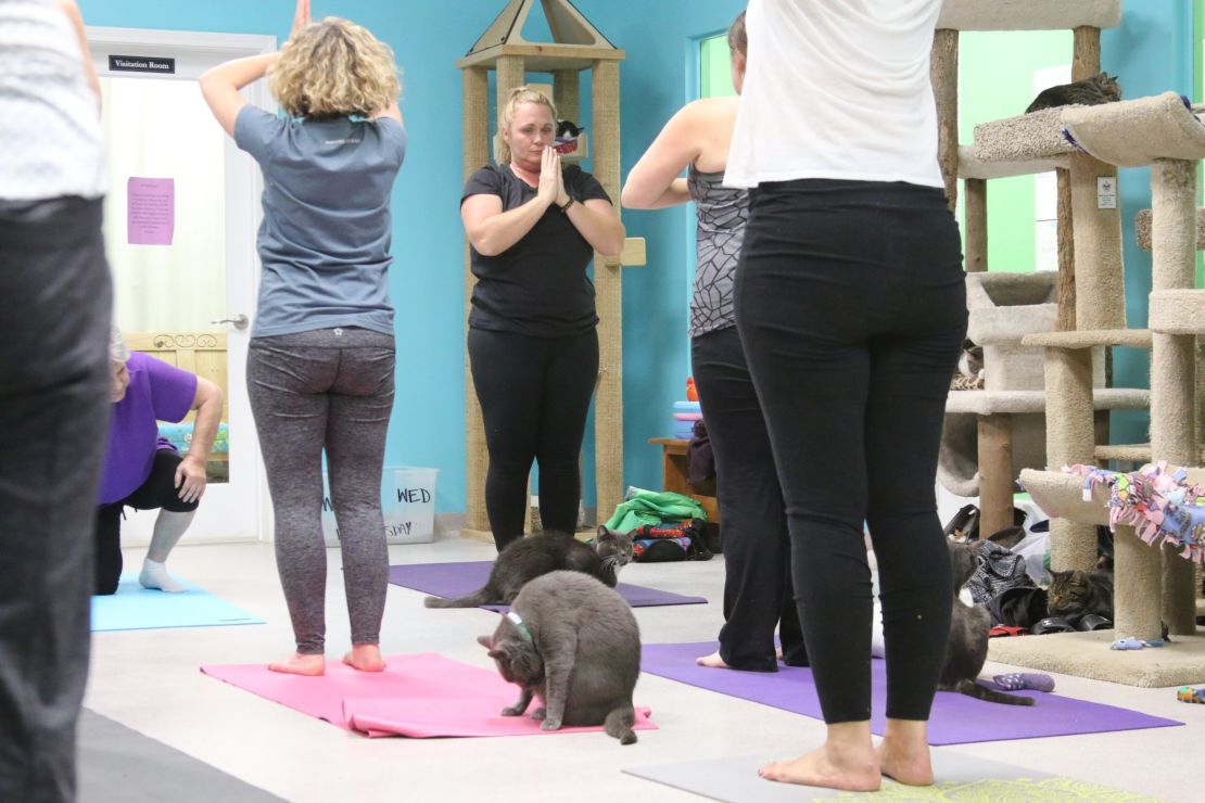 Pawsitive Vibes Only - White Cat Yoga - Fitness Room Decor