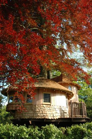 As if by magic, "A Fairytale Castle"  has been constructed around a tree, with smaller trees branching up through the decking. 