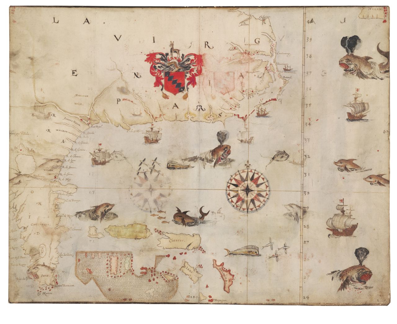 An 1500s map of the North America's east coast, including major coastal features and various aquatic species, by John White. 