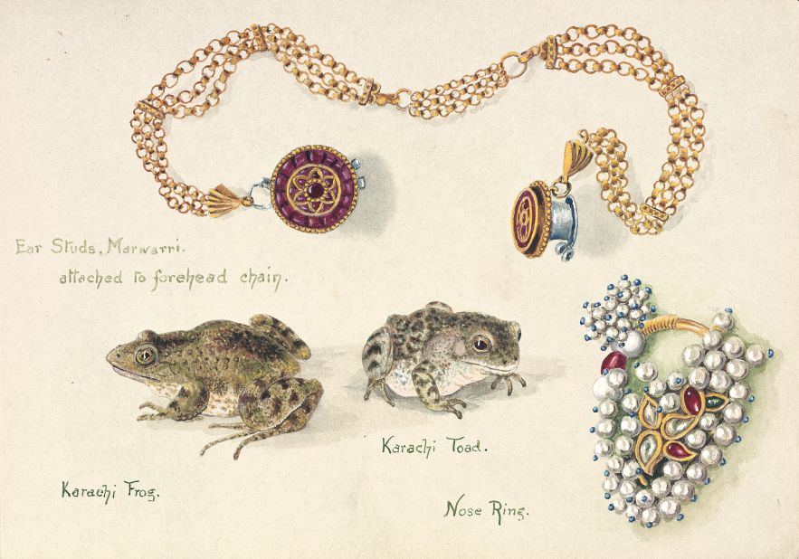 After the death of her husband, Olivia Tonge traveled throughout Asia, all the while drawing what she saw. While shortsightedness kept her from doing landscapes justice, she had a penchant for capturing the little things -- like these animals and jewels she saw in India.