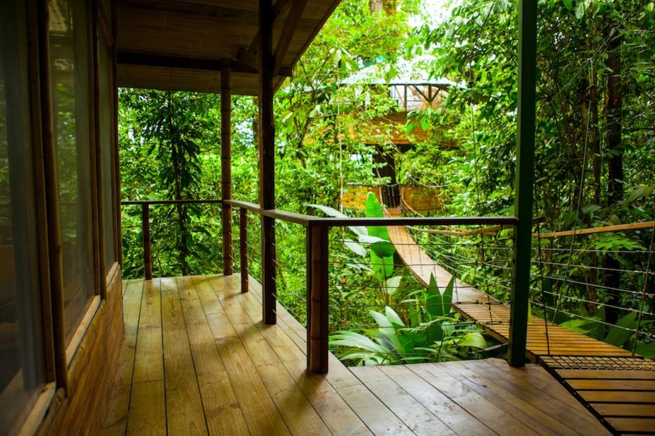 Treetop homes are constructed using bamboo and locally-grown teak, and for every tree that is cut down, many more are planted.