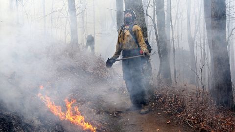 Firefighter Layne Whitney checks the treetops while working to hold the northern head of the Rock Mountain Fire, north of Tate City, Georgia, on Tuesday, November 22.
