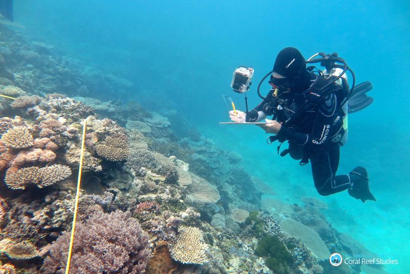 Great Barrier Reef: Australia's Natural Wonder Suffers Worst Ever Coral ...