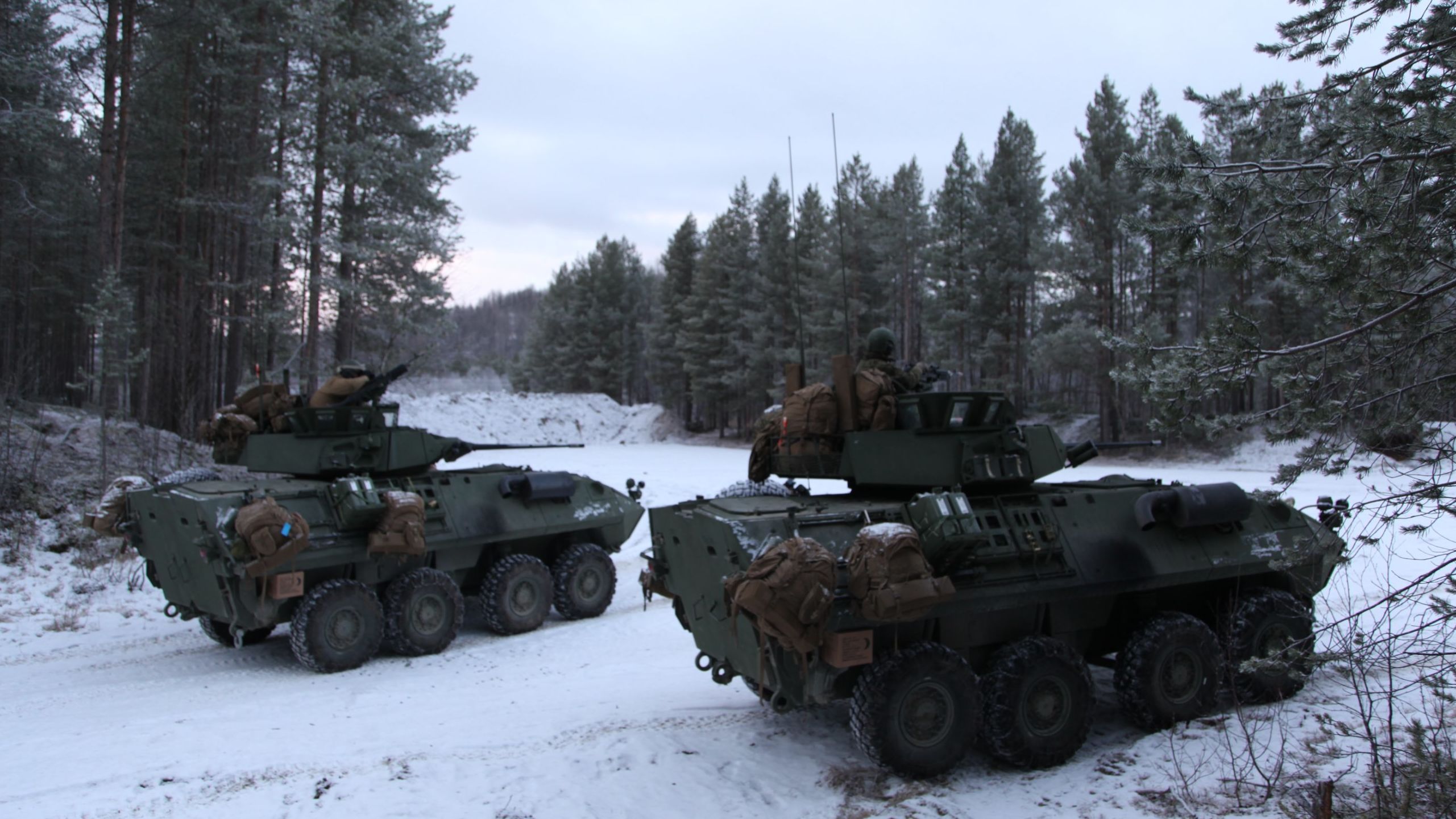 US Marines take part in an exercise with Norwegian troops in subzero temperatures above the Arctic Circle.