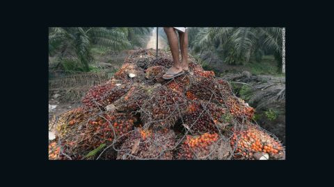 Non-certificated palm oil is linked to deforestation.