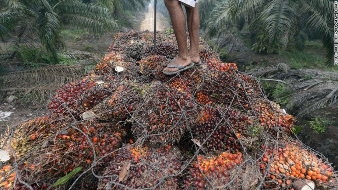 Non-certificated palm oil is linked to deforestation.