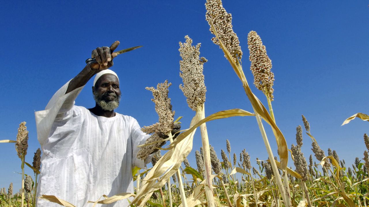 Shifting climatic conditions has a dramatic effect on Sudan's livelihood and food security.