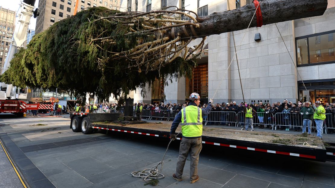 This year's tree was delivered to Rockefeller Center Plaza on November 12.