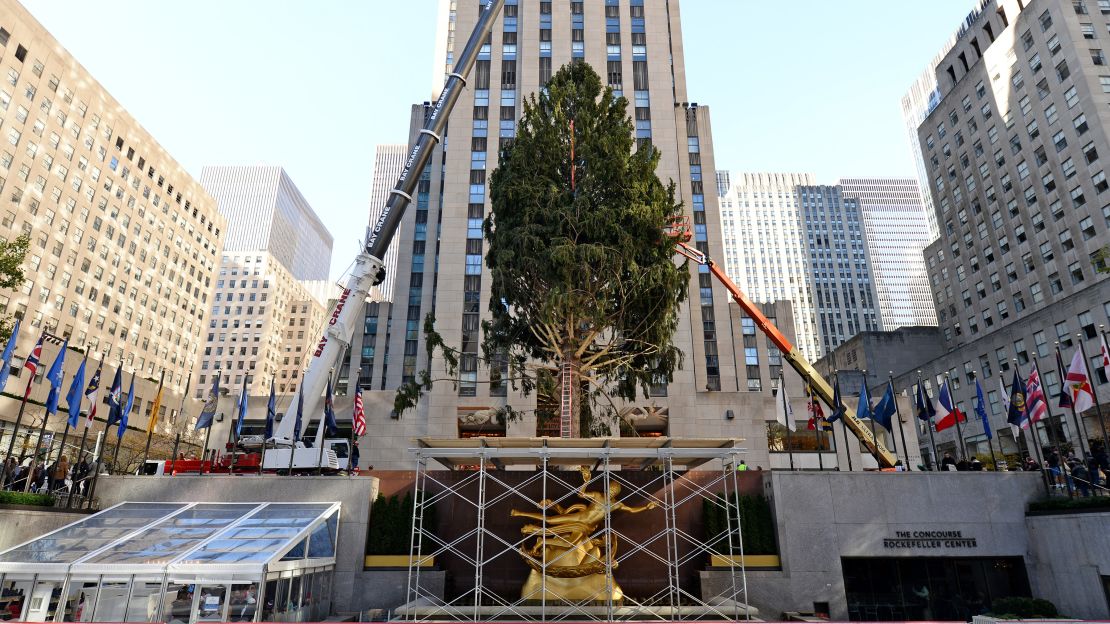 The 94-Foot tall Norway Spruce Christmas tree was moved into position.