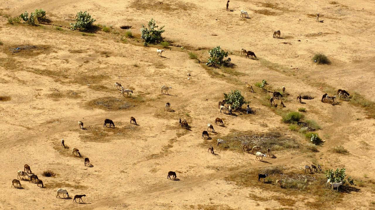 It is estimated 1.9 million people will be affected by reduced agricultural and livestock production -- due to smaller farming areas, poor pastures and limited water availability.