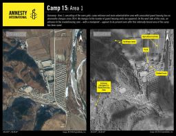 Activity is ongoing at Camp No. 15, according to Amnesty.