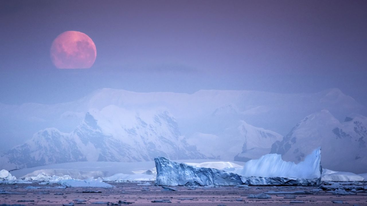 Christmas in Antarctica coincides with the penguin chicks starting to hatch, while sightings of sea birds, penguins, seals and whales are all guaranteed.