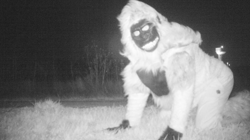 A prankster dressed as a gorilla captured on the Gardner Police Department's trail cameras.