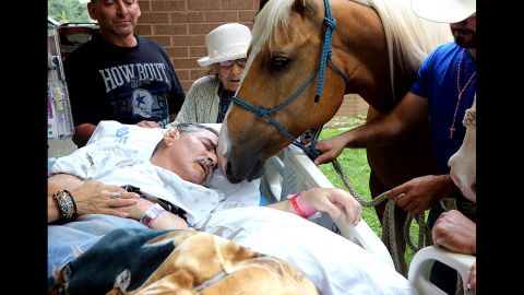 <strong>May 21:</strong> A horse nuzzles Vietnam veteran Roberto Gonzales outside a VA hospital in San Antonio. Gonzales, a disabled horse trainer, <a href="http://www.cnn.com/2016/05/23/health/dying-veteran-reunited-with-horses-trnd/" target="_blank">wanted to spend some of his precious final moments with two of his beloved friends:</a> his horses, Ringo and Sugar. He died two days later.