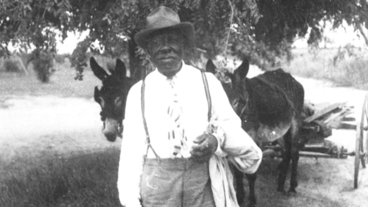 Washington Phillips, a peddler, part-time preacher and gospel singer, with his mule cart. 