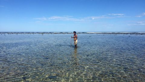 Lydia searches reef flats near the island for octopus.